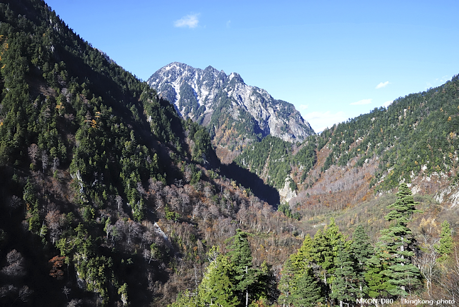 DSC_4436.jpg - �ߤs�³�����