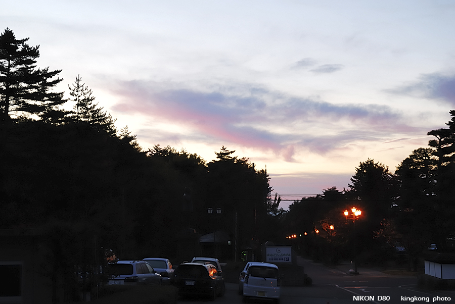 DSC_4654.jpg - �ߤs�³�����