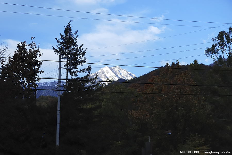 DSC_4669.jpg - �ߤs�³�����