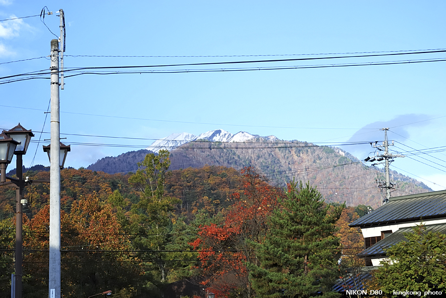 DSC_4673.jpg - �ߤs�³�����