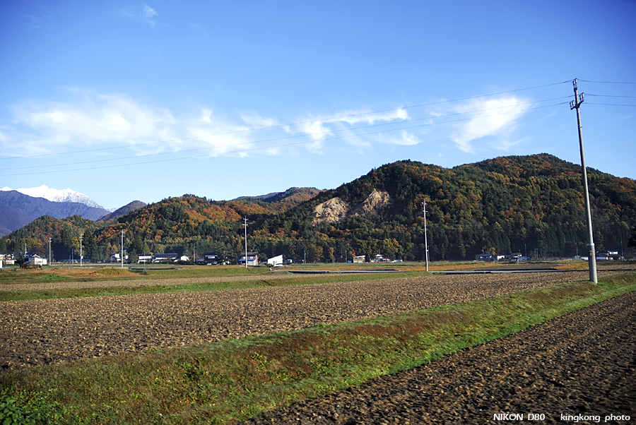 DSC_4690.jpg - �ߤs�³�����