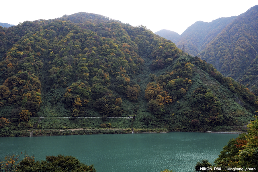 DSC_4962.jpg - �ߤs�³�����