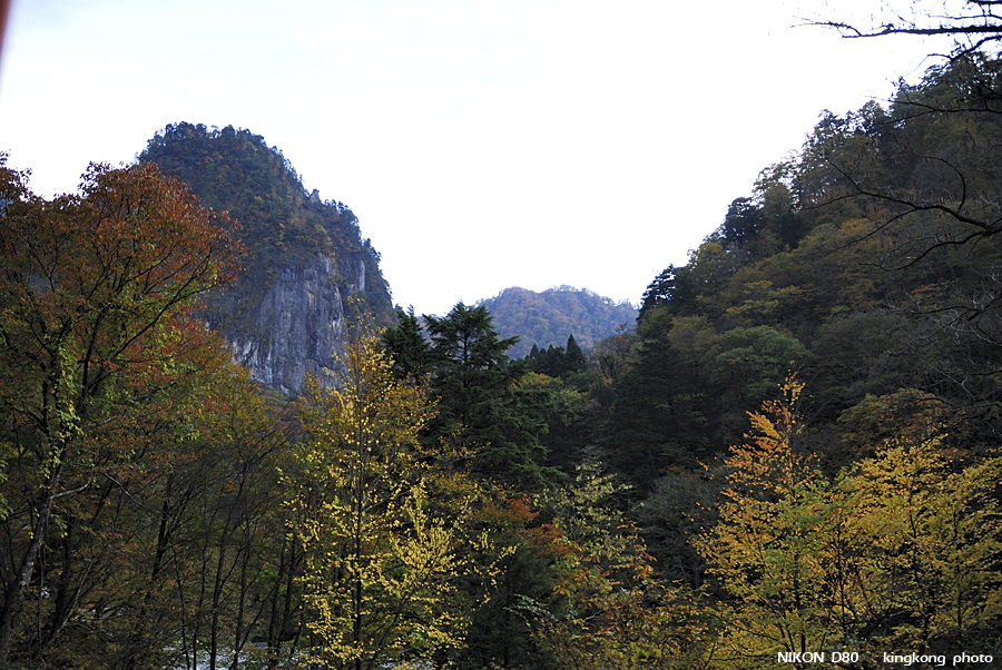 DSC_5028.jpg - �ߤs�³�����
