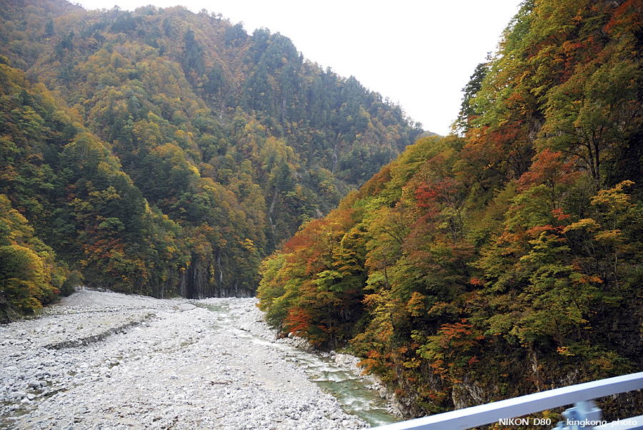 DSC_5032.jpg - �ߤs�³�����