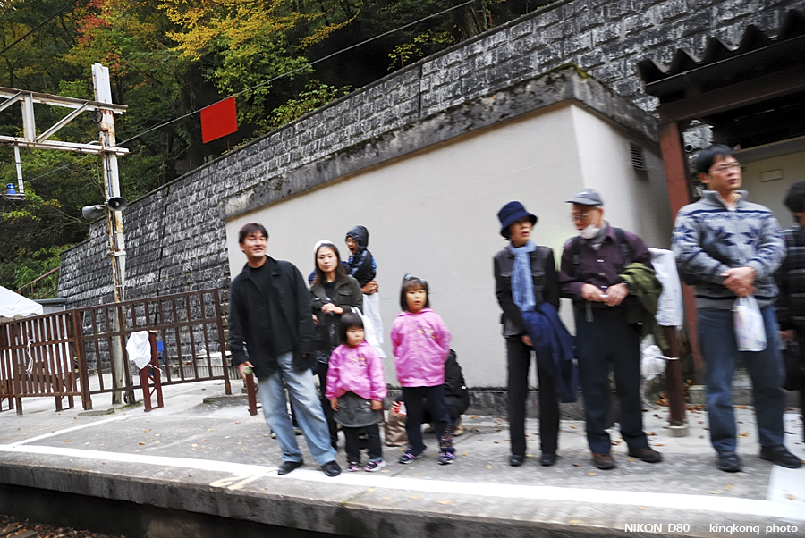 DSC_5036.jpg - �ߤs�³�����