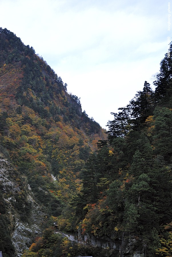 DSC_5044.jpg - 黑部峽谷 - 欅平