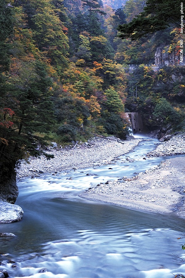DSC_5069.jpg - 黑部峽谷 - 欅平