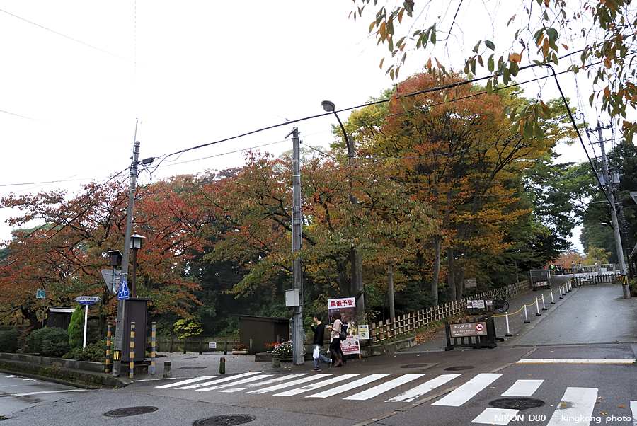 DSC_5274.jpg - �ߤs�³�����