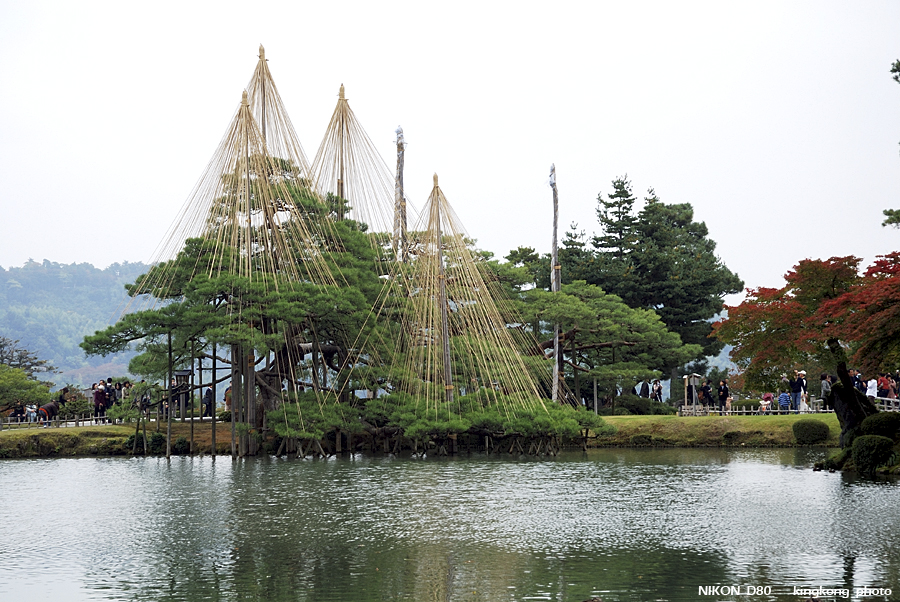 DSC_5492.jpg - �ߤs�³�����