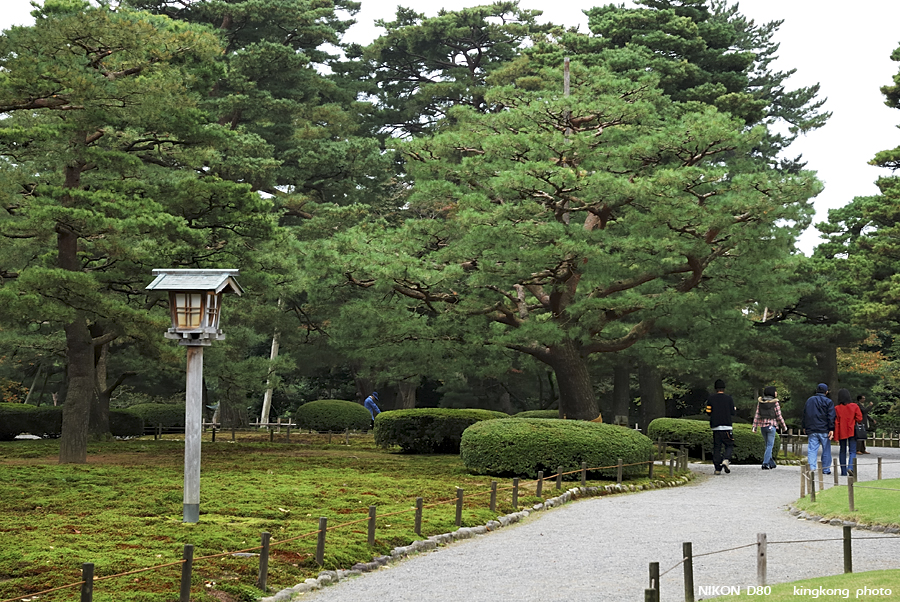 DSC_5518.jpg - �ߤs�³�����