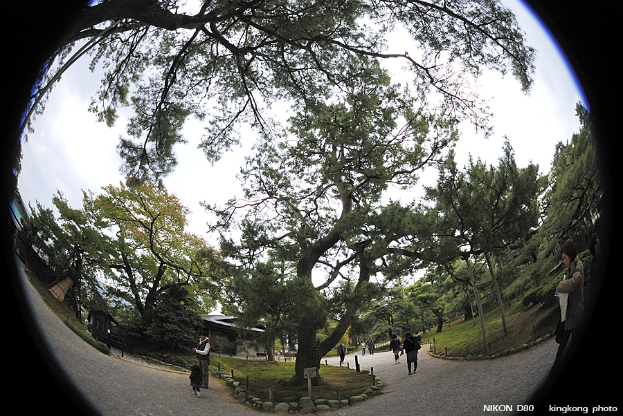 DSC_5533.jpg - �ߤs�³�����