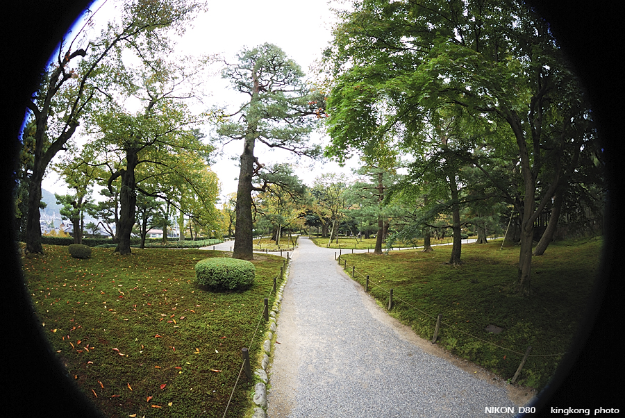DSC_5535.jpg - �ߤs�³�����