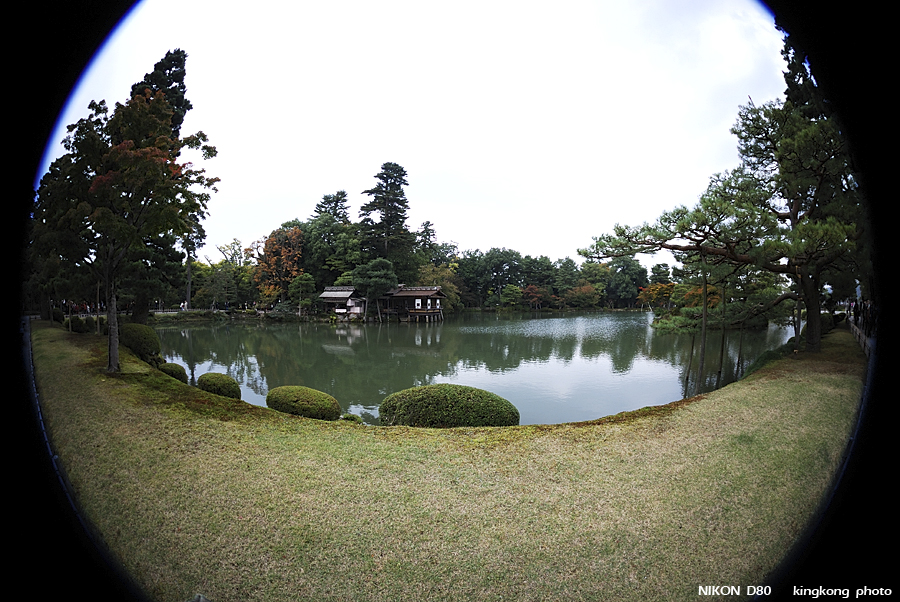 DSC_5547.jpg - �ߤs�³�����