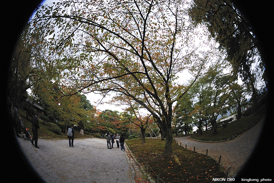 DSC_5557.jpg - �ߤs�³�����
