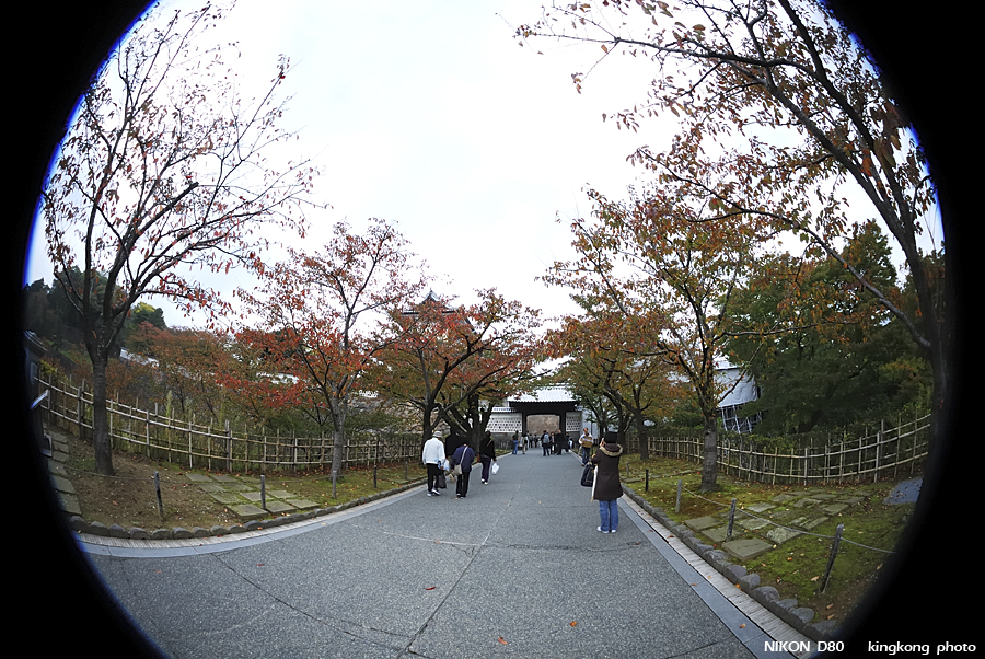 DSC_5584.jpg - �ߤs�³�����