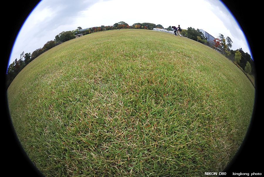DSC_5588.jpg - �ߤs�³�����
