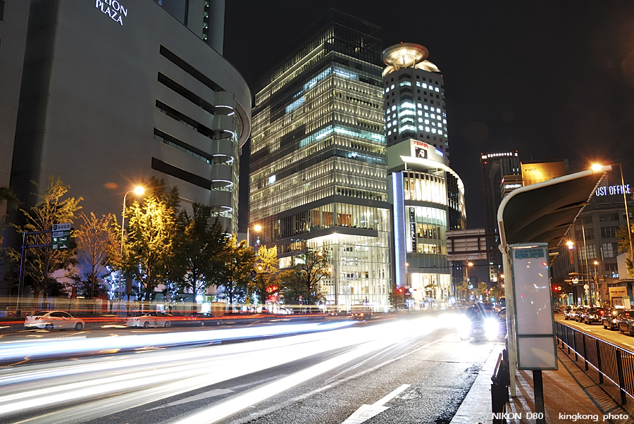 DSC_5652.jpg - �ߤs�³�����