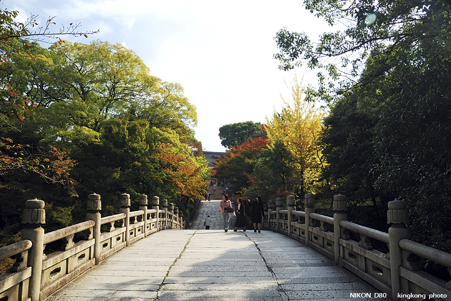 DSC_5930.jpg - 京都