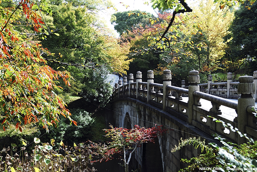 DSC_5952.jpg - 京都