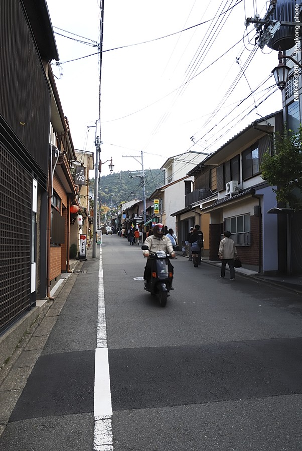 DSC_5955.jpg - 京都