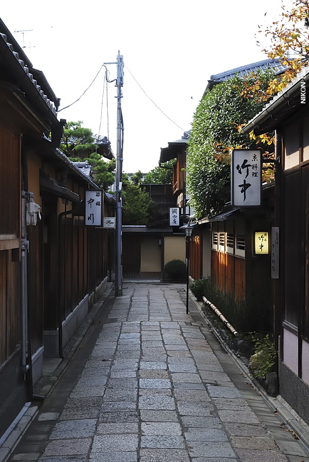 DSC_6228.jpg - 京都