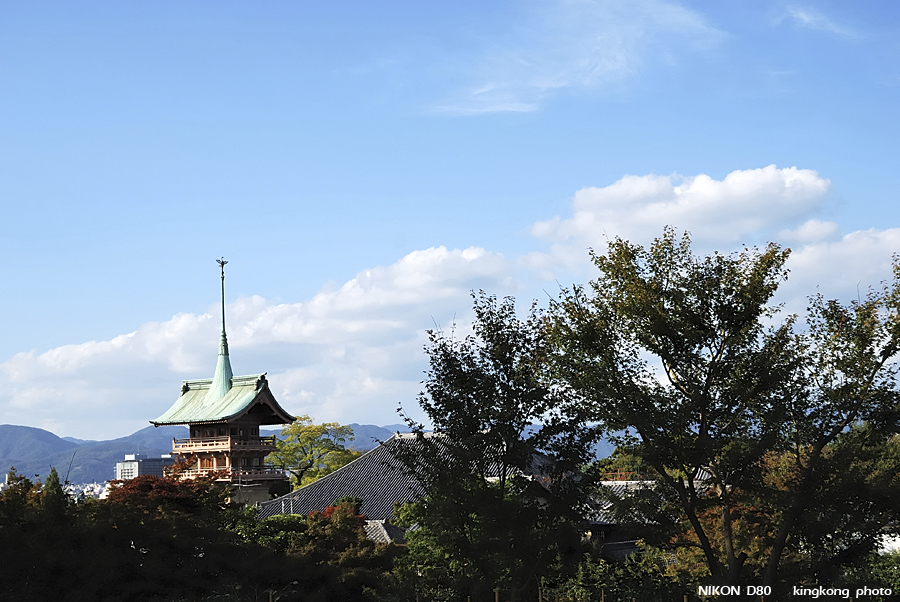DSC_6255.jpg - �ߤs�³�����