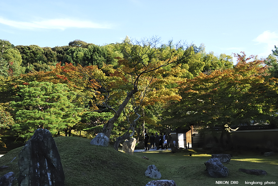 DSC_6343.jpg - �ߤs�³�����