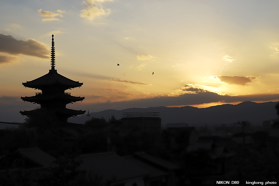 DSC_6466.jpg - 京都