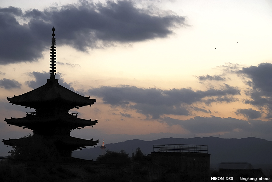 DSC_6523.jpg - 京都