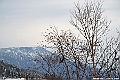 DSC_3465