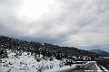 DSC_3501