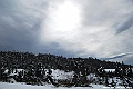 DSC_3510