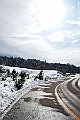 DSC_3531