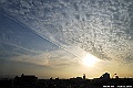 DSC_6728