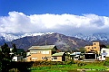 PICT0411
