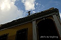 _DSC0965