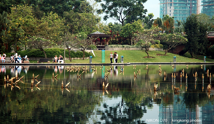 DSC_5438.jpg