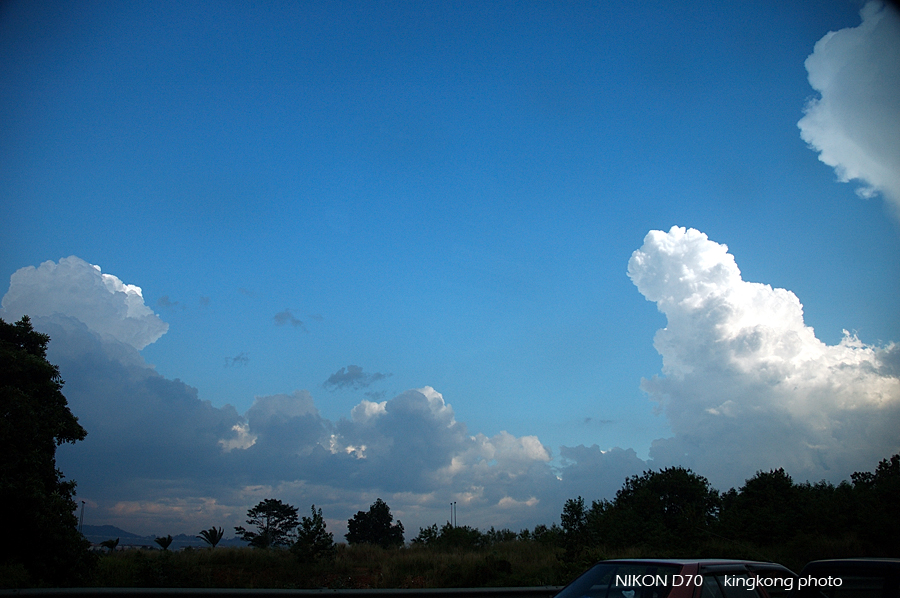DSC_5664.jpg