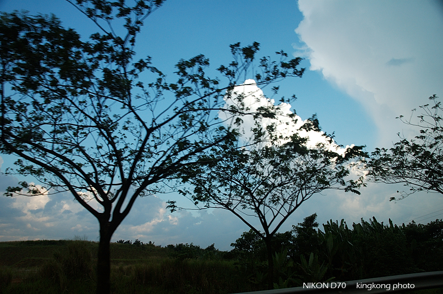 DSC_5671.jpg