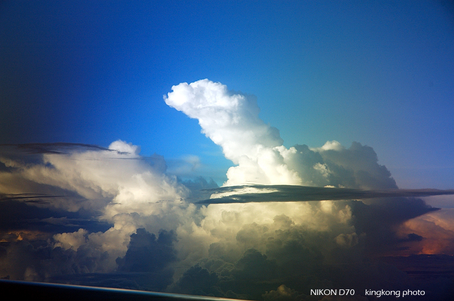 DSC_5725.jpg