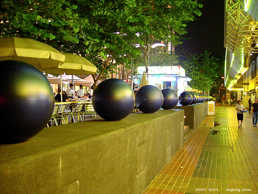 SANY0119.JPG - Singapore