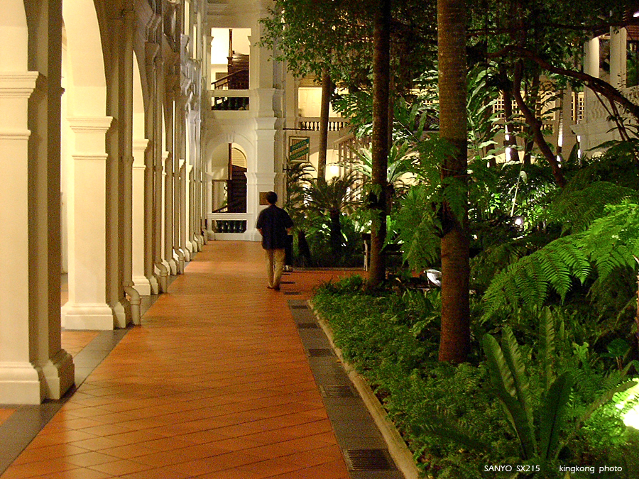 SANY0221.JPG - Singapore