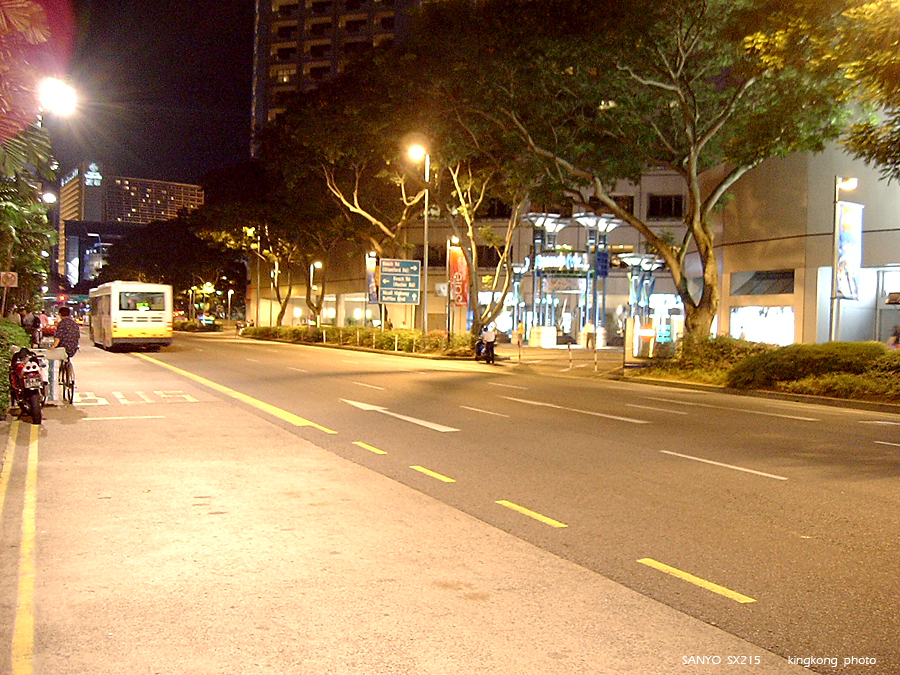 SANY0225.JPG - Singapore