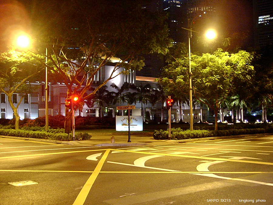 SANY0230.JPG - Singapore