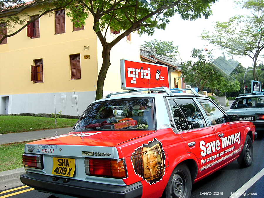 SANY0241.JPG - Singapore