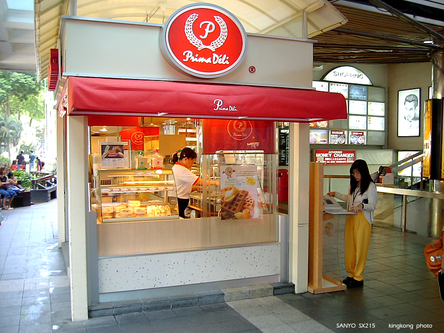 SANY0247.JPG - Singapore