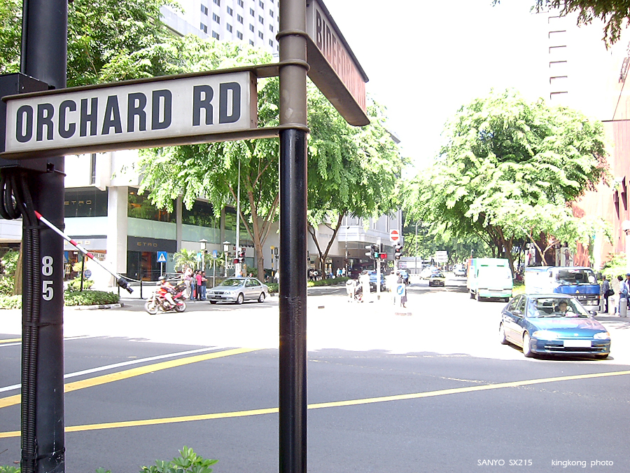 SANY0253.JPG - Singapore