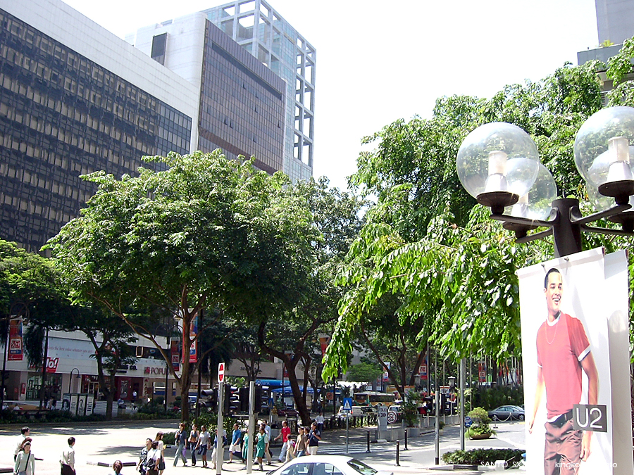 SANY0262.JPG - Singapore