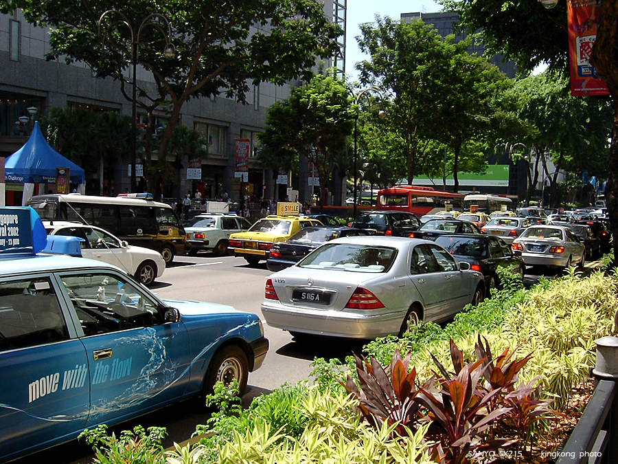 SANY0263.JPG - Singapore