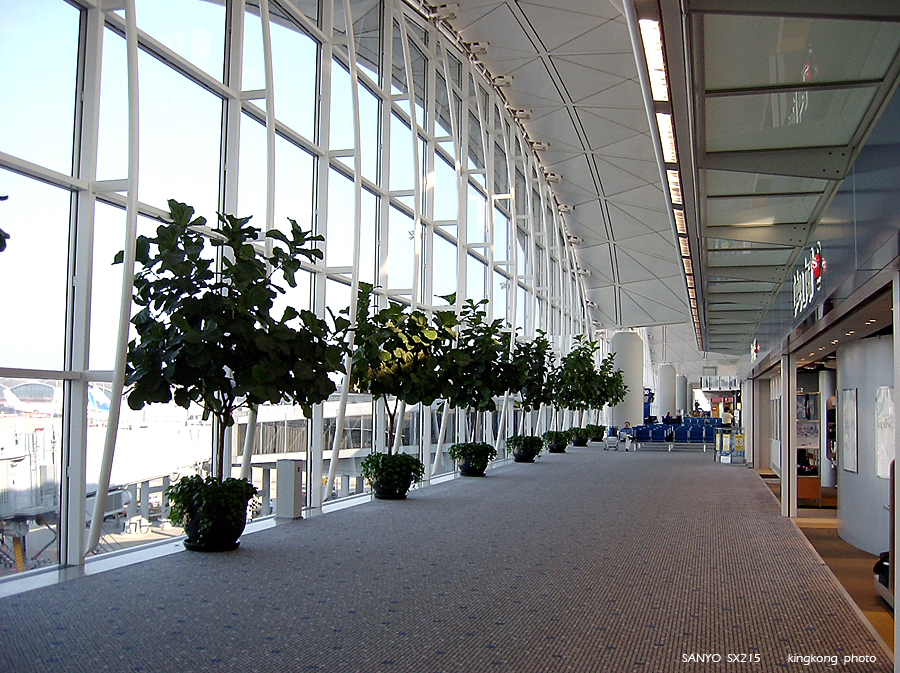SANY0755.JPG - Singapore